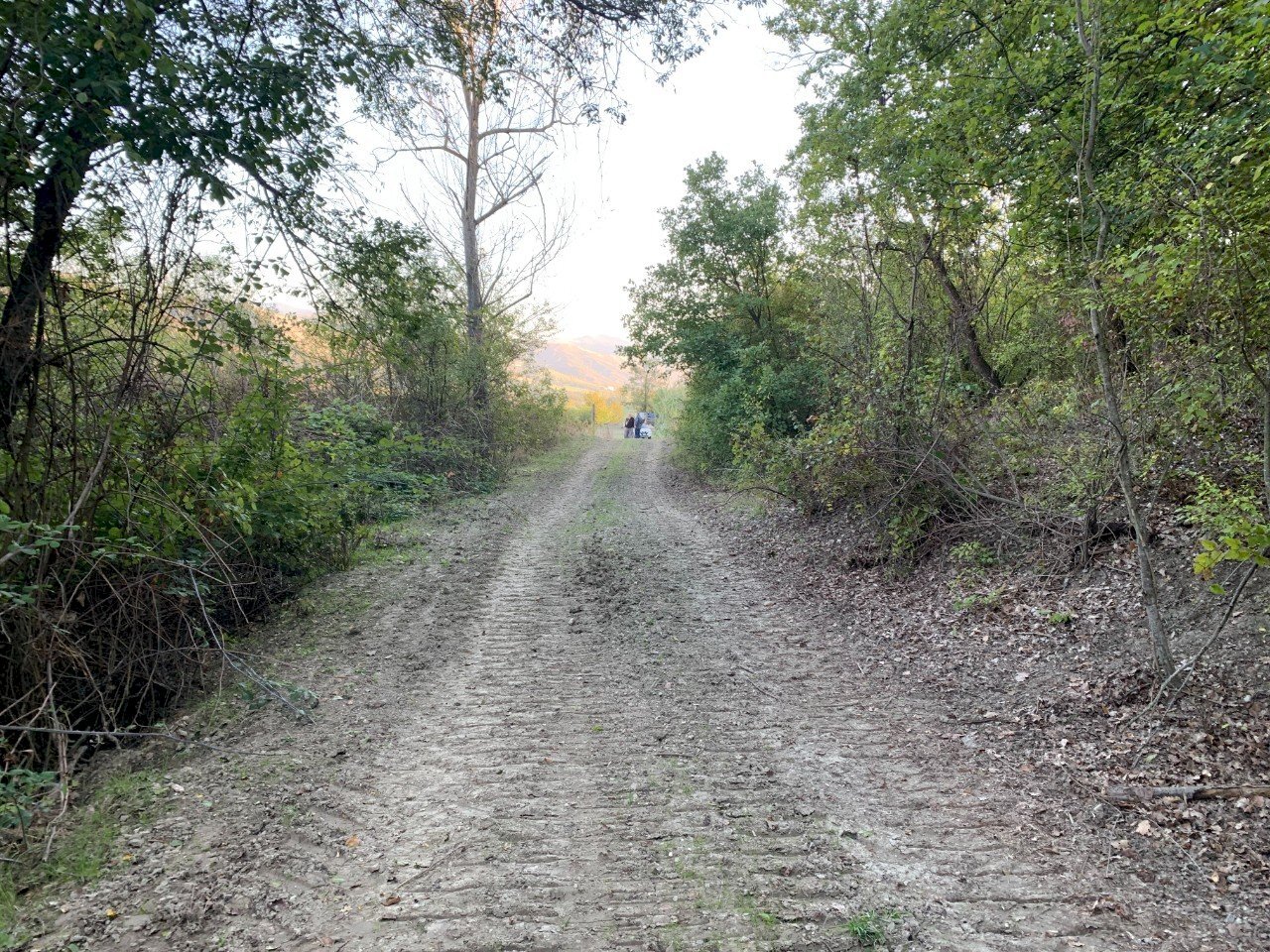 Casa indipendente San Lazzaro di Savena - foto 2
