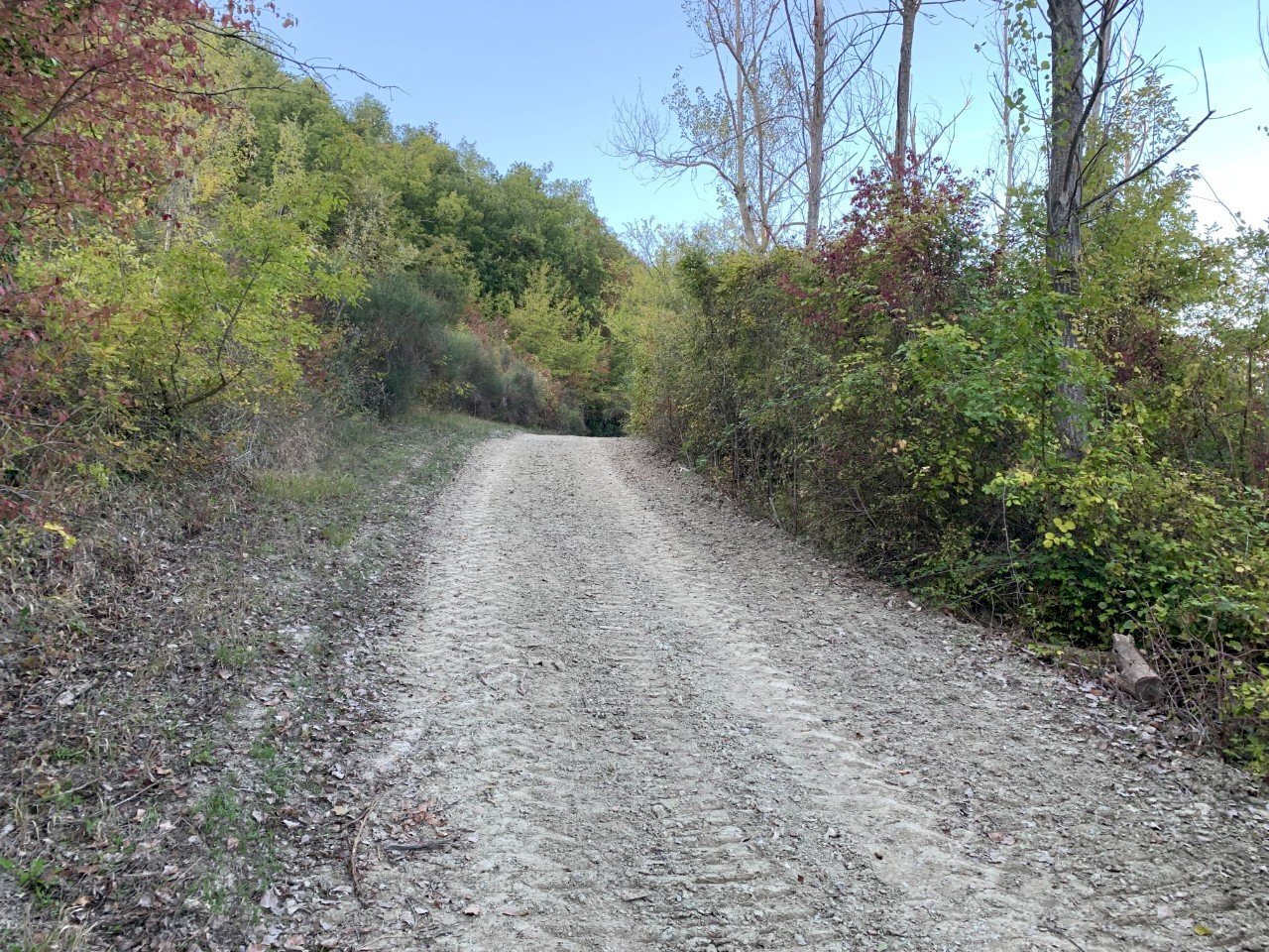 Casa indipendente San Lazzaro di Savena - foto 3