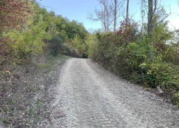 Casa indipendente San Lazzaro di Savena - foto 3