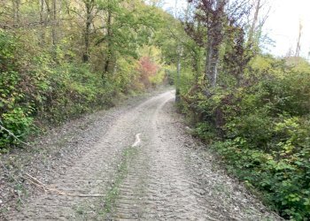 Casa indipendente San Lazzaro di Savena - foto 4