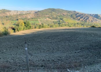 Casa indipendente San Lazzaro di Savena - foto 5