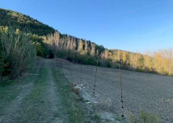 Casa indipendente San Lazzaro di Savena - foto 6