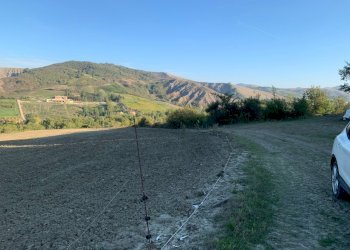 Casa indipendente San Lazzaro di Savena - foto 7