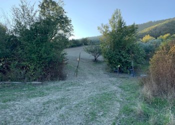 Casa indipendente San Lazzaro di Savena - foto 8