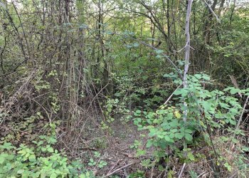 Casa indipendente San Lazzaro di Savena - foto 9