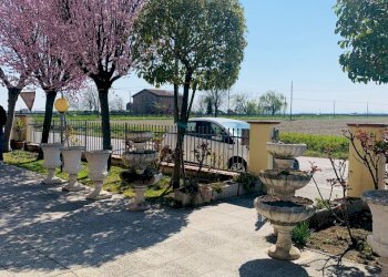 Villa Bifamiliare Nonantola - foto 5