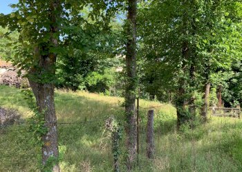 Casa indipendente Loiano - foto 9