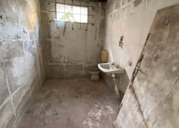 Magazzino Castel San Pietro Terme - foto 7