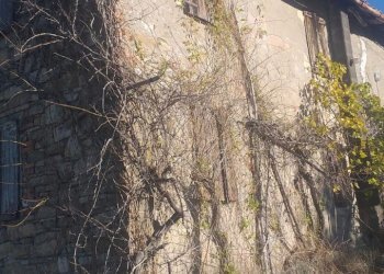 Casa indipendente Valsamoggia - foto 4