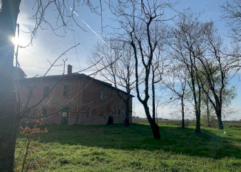 Casa indipendente Ozzano dell'Emilia - foto 3