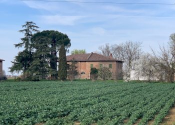 Casa indipendente Ozzano dell'Emilia - foto 12