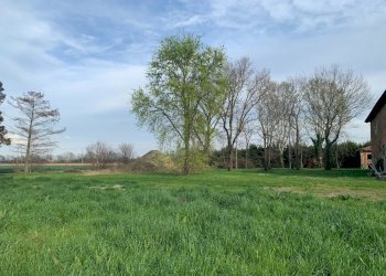 Casa indipendente Ozzano dell'Emilia - foto 13