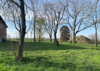 Casa indipendente Ozzano dell'Emilia - foto 15