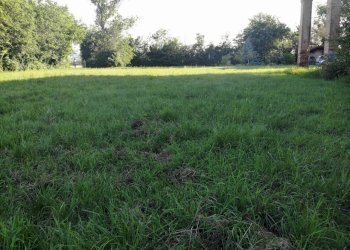 Casa Colonica Castel San Pietro Terme - foto 6