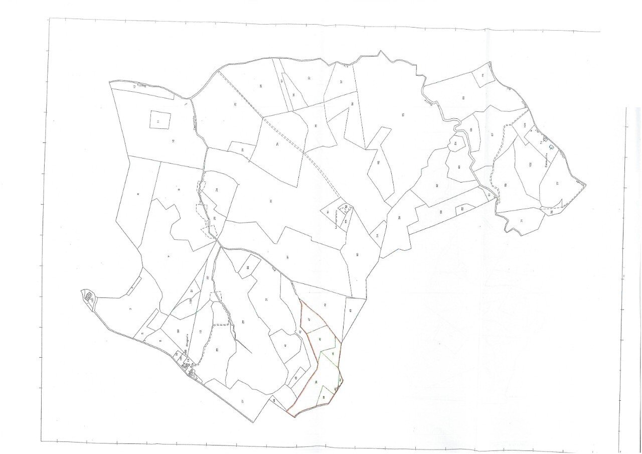 Agricultural land Castel San Pietro Terme - photo 1