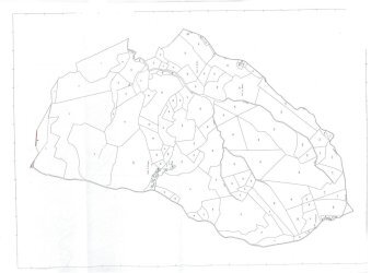 Terreno agricolo Castel San Pietro Terme - foto 3