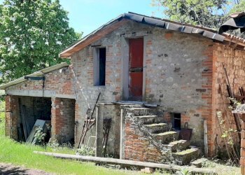 Casa indipendente Castel San Pietro Terme - foto 5