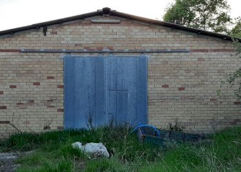 Casa indipendente Castel San Pietro Terme - foto 8