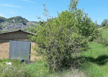 Casa indipendente Castel San Pietro Terme - foto 13