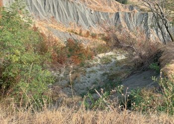 Casa indipendente Castel San Pietro Terme - foto 18