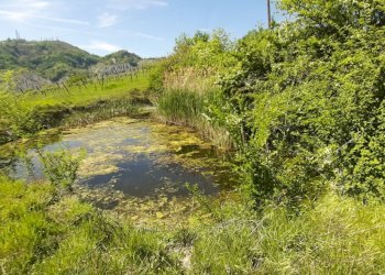 Casa indipendente Castel San Pietro Terme - foto 23