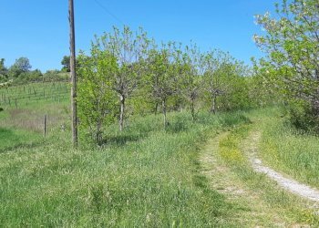 Casa indipendente Castel San Pietro Terme - foto 25