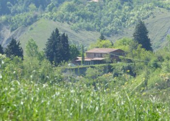 Casa indipendente Castel San Pietro Terme - foto 26