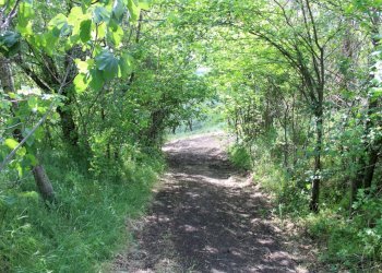 Casa indipendente Castel San Pietro Terme - foto 29