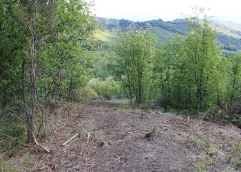 Casa indipendente Castel San Pietro Terme - foto 31