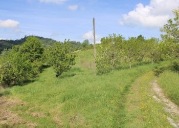 Casa indipendente Castel San Pietro Terme - foto 33