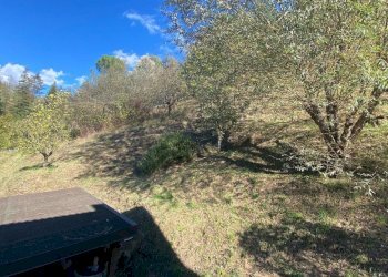 Independent house Monterenzio - photo 13