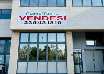 Capannone Modena - foto 1