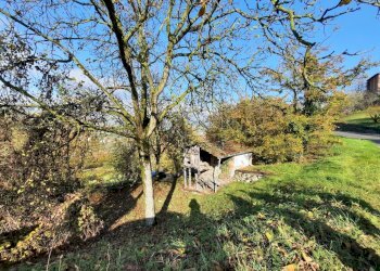 Independent house Toano - photo 14