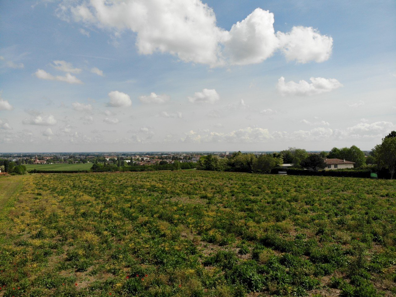 Terreno agricolo Ozzano dell'Emilia - foto 3