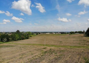 Terreno agricolo Ozzano dell'Emilia - foto 1