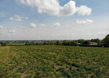 Terreno agricolo Ozzano dell'Emilia - foto 3