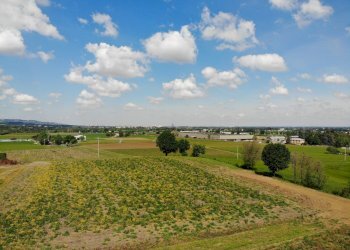 Terreno agricolo Ozzano dell'Emilia - foto 5