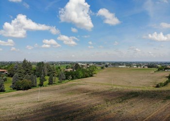 Terreno agricolo Ozzano dell'Emilia - foto 6