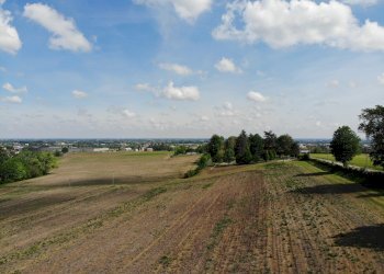 Terreno agricolo Ozzano dell'Emilia - foto 7