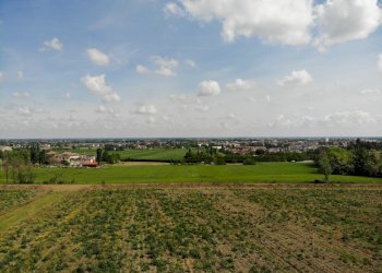 Terreno agricolo Ozzano dell'Emilia - foto 8