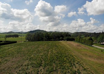 Terreno agricolo Ozzano dell'Emilia - foto 9