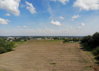 Terreno agricolo Ozzano dell'Emilia - foto 10