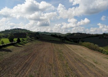 Terreno agricolo Ozzano dell'Emilia - foto 11