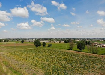 Terreno agricolo Ozzano dell'Emilia - foto 14