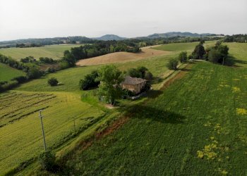Casa Colonica Ozzano dell'Emilia - foto 23