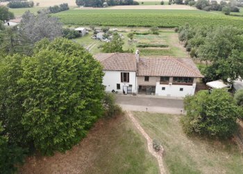 Casa indipendente Castel San Pietro Terme - foto 9