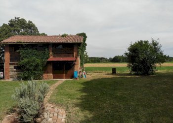 Casa indipendente Castel San Pietro Terme - foto 24