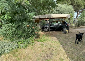 Casa indipendente Castel San Pietro Terme - foto 88