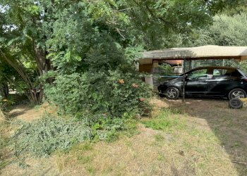 Casa indipendente Castel San Pietro Terme - foto 89