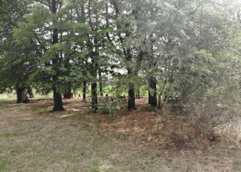 Casa indipendente Castel San Pietro Terme - foto 96